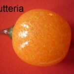 KB7099026 Figura Frutteria Orange Ancho 7 Alto 11 Cms